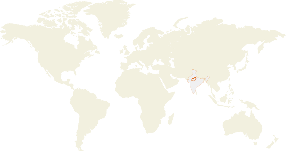 World Map